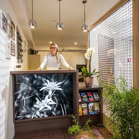 Edelweiss Lounge Restaurant Pizza Cafe Billard Майргофен