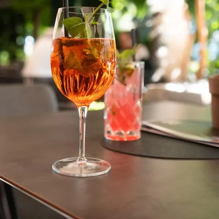Edelweiss Lounge Restaurant Pizza Cafe Billard Guest house 3*