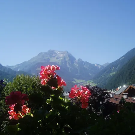 Edelweiss Lounge Restaurant Pizza Cafe Billard Mayrhofen