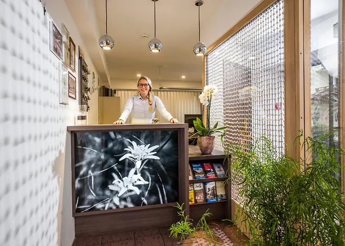 Edelweiss Lounge Restaurant Pizza Cafe Billard מאיירהופן